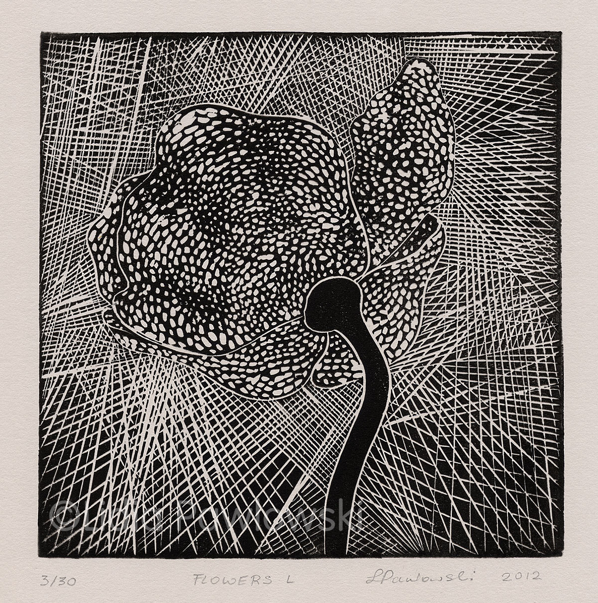 Linoprint, Flowers Composition, Poppy