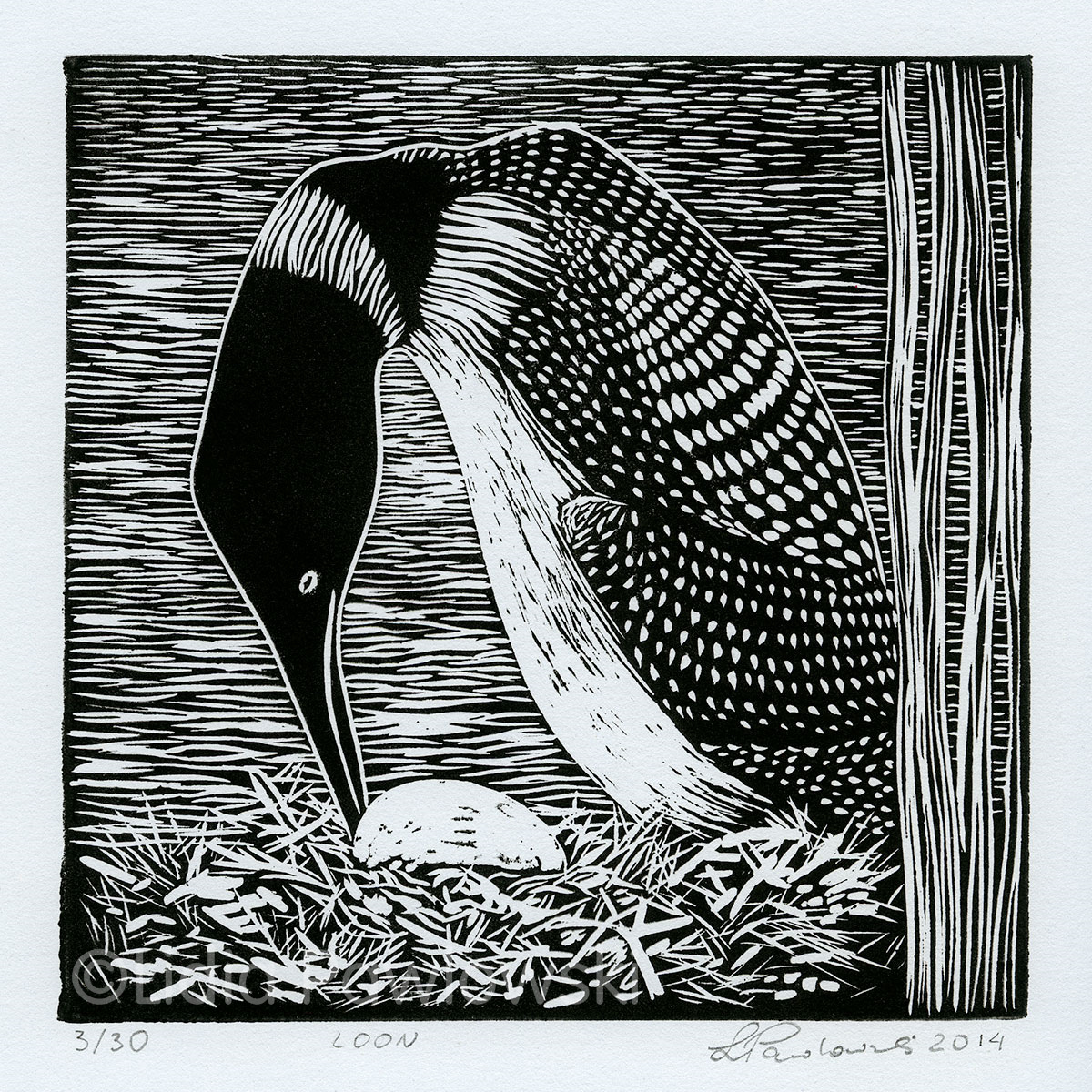 Linoprint, Loon, Landscape Canada