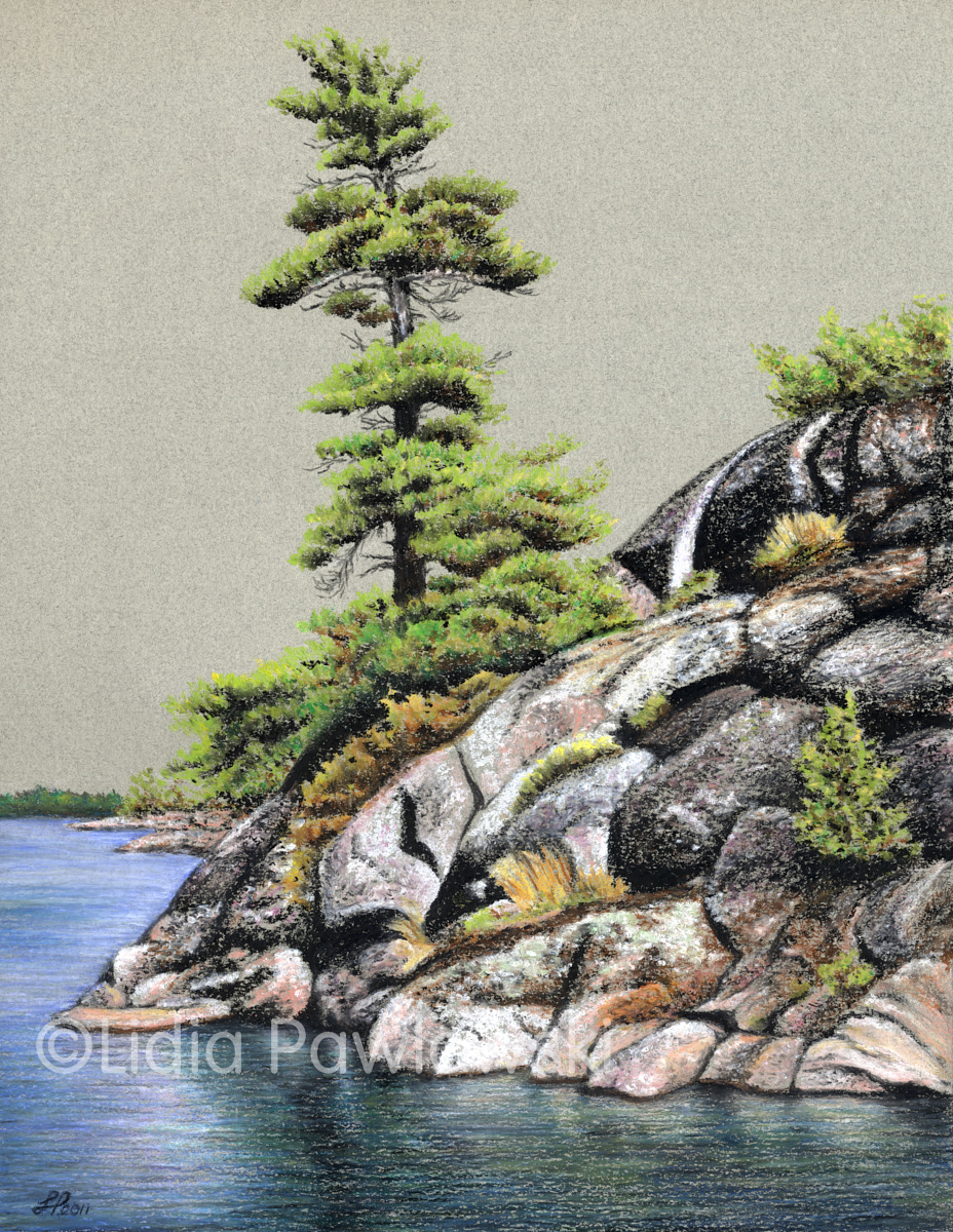 Pastels, Wind Swept Pine, Georgian Bay, Ontario, Canada