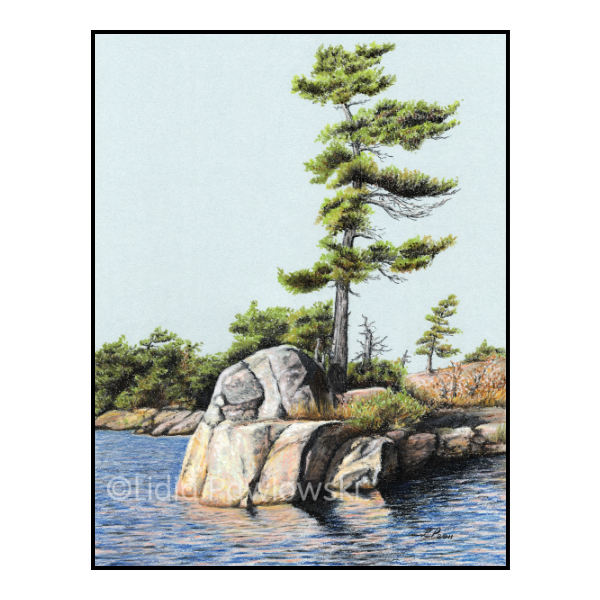 Pine, Georgian Bay series, Pastels